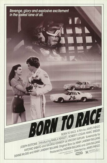 Póster de Born to Race