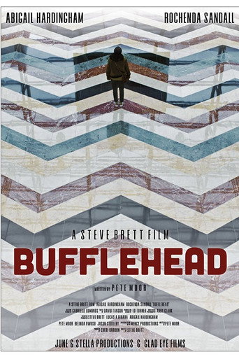 Póster de Bufflehead