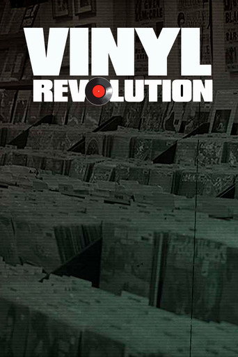 Póster de Vinyl Revolution