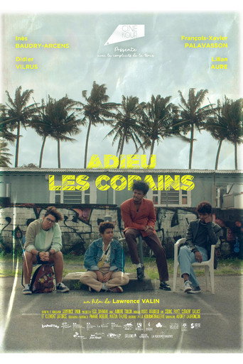 Póster de Adieu Les Copains
