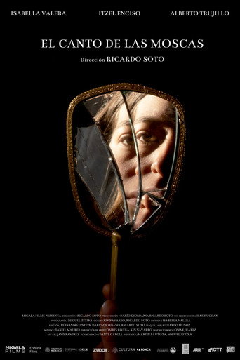 Póster de El canto de las moscas