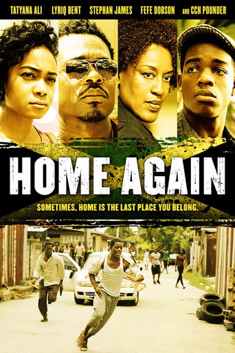 Póster de Home Again