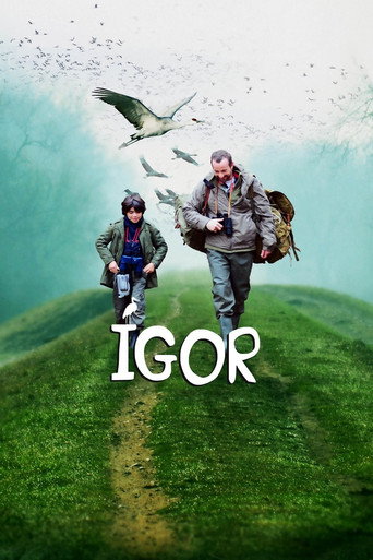 Póster de Igor and the Cranes' Journey