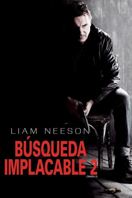 Póster de Búsqueda implacable 2