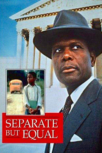 Póster de Separate but Equal