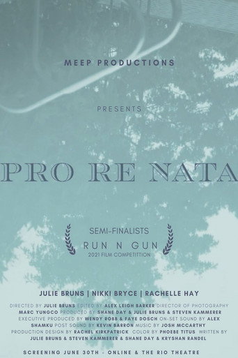 Póster de Pro Re Nata