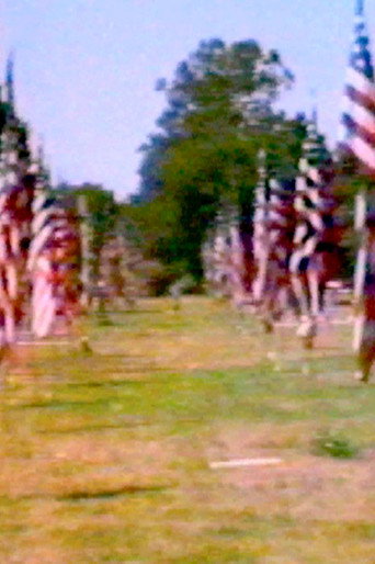 Póster de Towards Intuition: An American Landscape