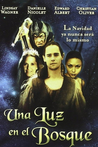 Póster de A Light in the Forest