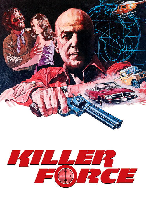Póster de Killer Force