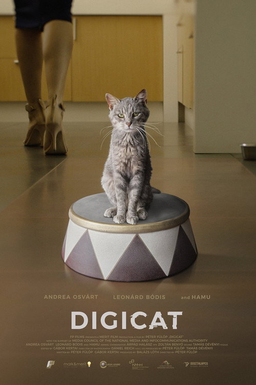 Póster de Digicica
