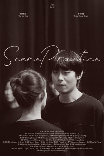 Póster de Scene Practice