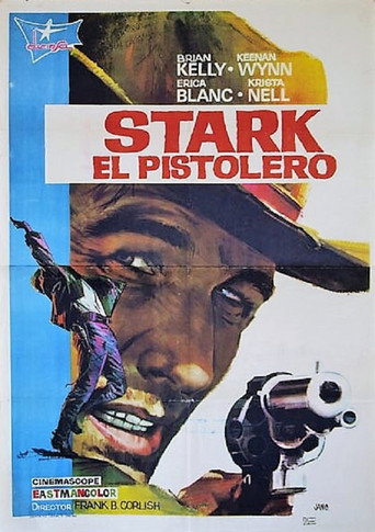 Póster de Spara, Gringo, spara