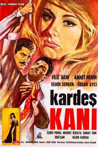 Póster de Kardeş Kanı