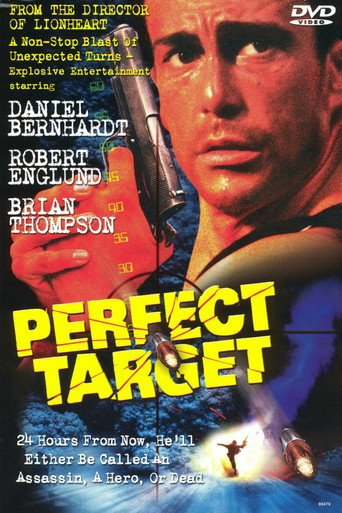 Póster de Perfect Target