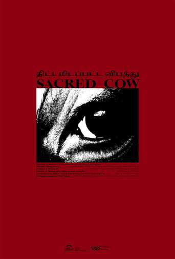 Póster de Sacred Cow திட்டமிடப்பட்ட விபத்து