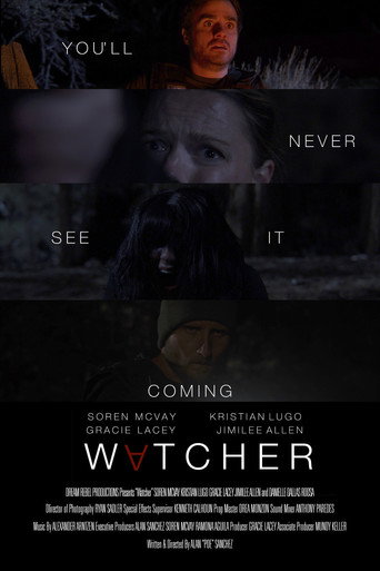 Póster de Watcher