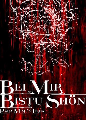 Póster de BEI MIR BISTU SHON: PARA MIM ES LINDA