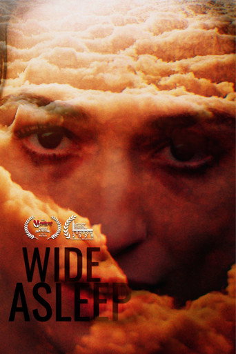 Póster de Wide Asleep