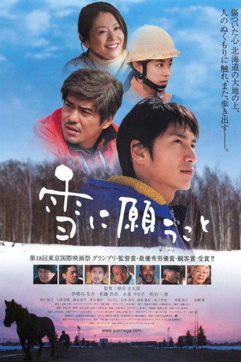 Póster de 雪に願うこと
