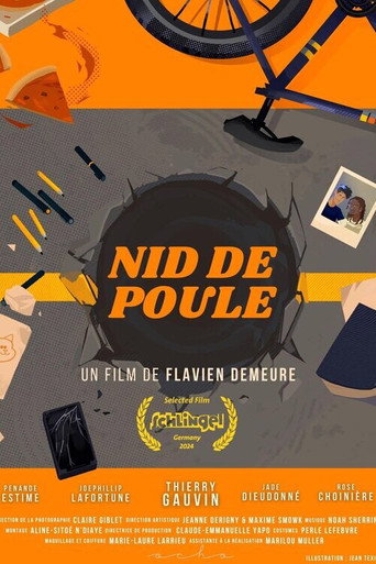 Póster de Nid de poule