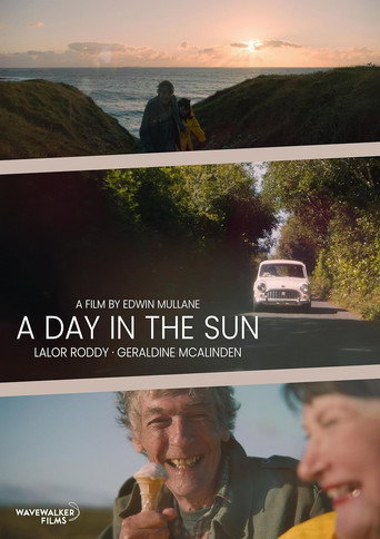 Póster de A Day in the Sun