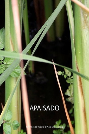 Póster de Apaisado