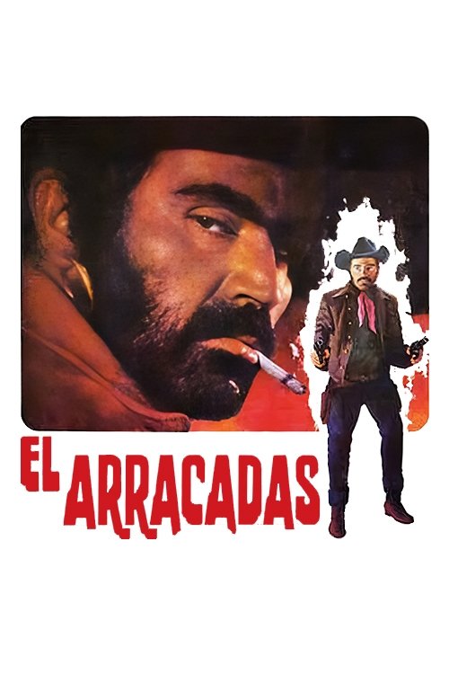 Póster de El arracadas