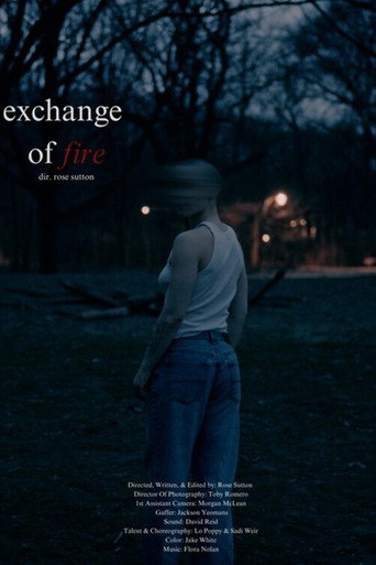 Póster de Exchange of Fire
