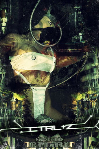 Póster de CTRL + Z