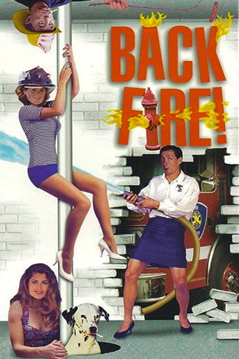 Póster de Backfire!