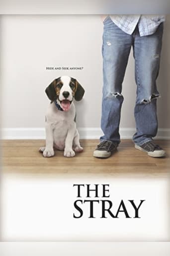 Póster de The Stray