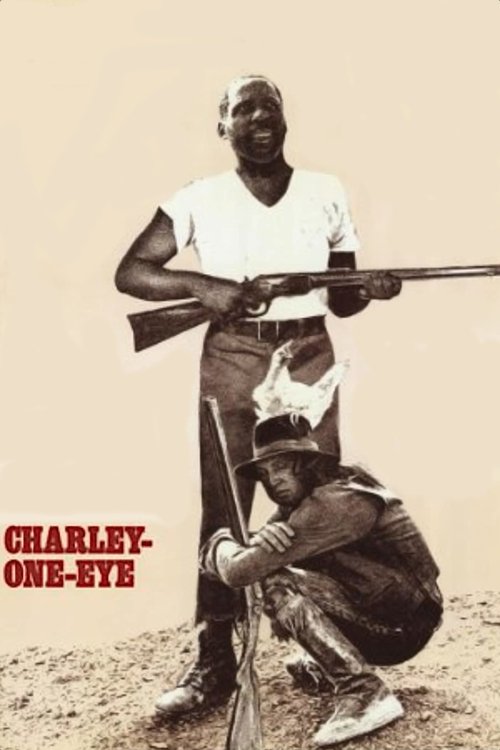 Póster de Charley-One-Eye
