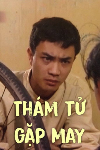 Póster de Thám tử gặp may