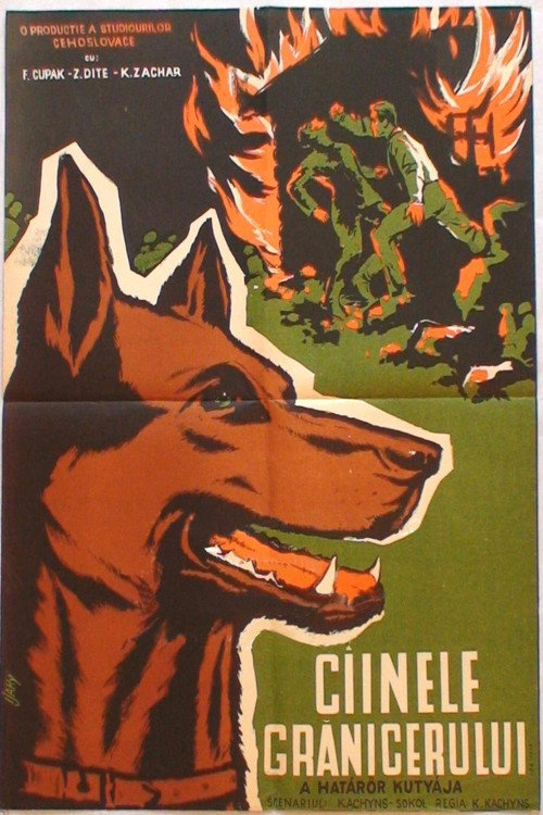 Póster de Ztracená stopa