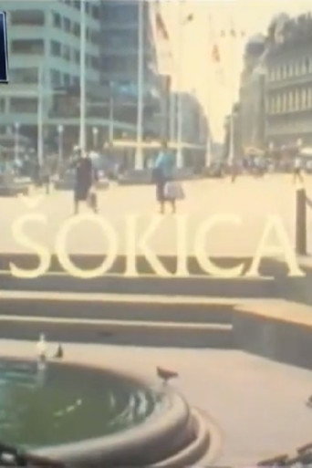 Póster de Šokica