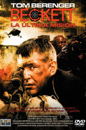 Póster de El Francotirador 2