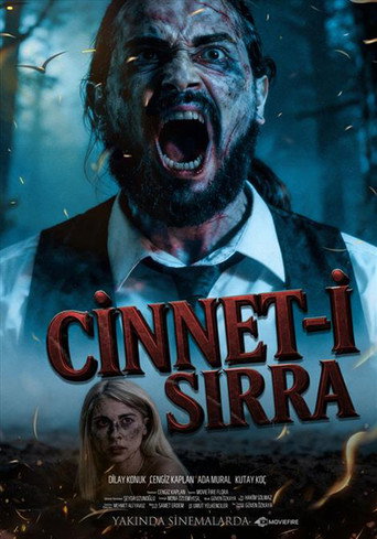 Póster de Cinnet-i Sırra