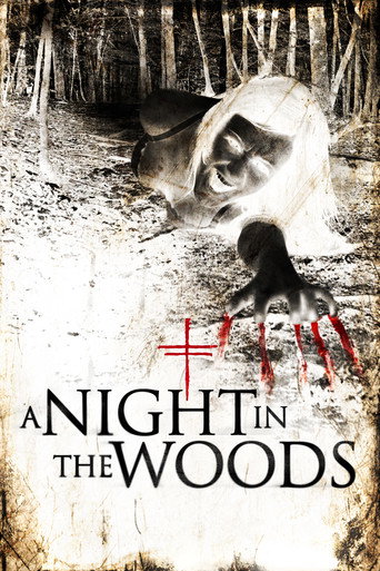 Póster de A Night in the Woods