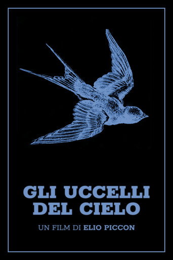 Póster de Gli uccelli del cielo