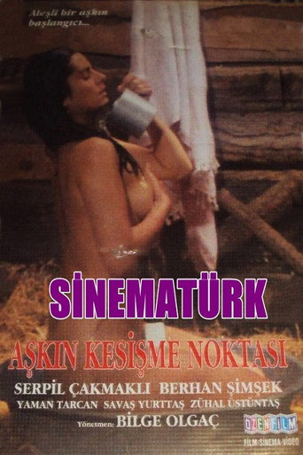 Póster de Aşkın Kesişme Noktası