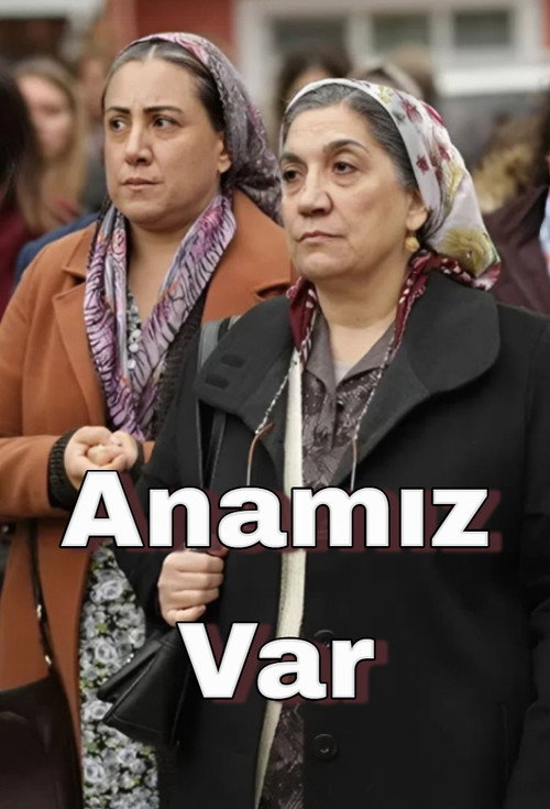 Póster de Anamız Var
