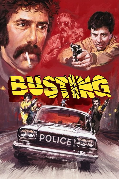 Póster de Busting