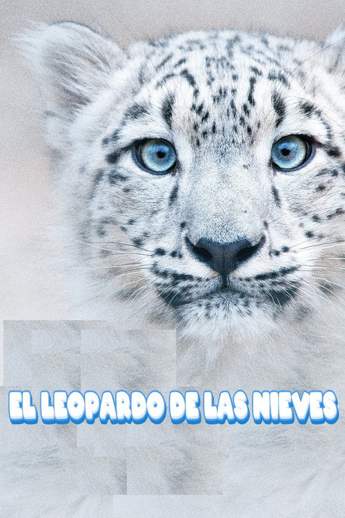 Póster de El leopardo de las nieves