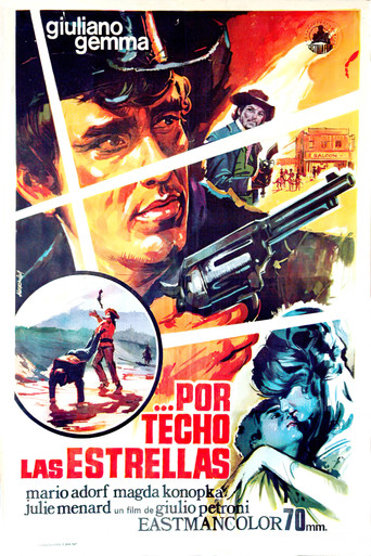 Póster de La venganza de Ringo