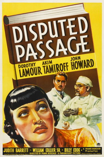 Póster de Disputed Passage