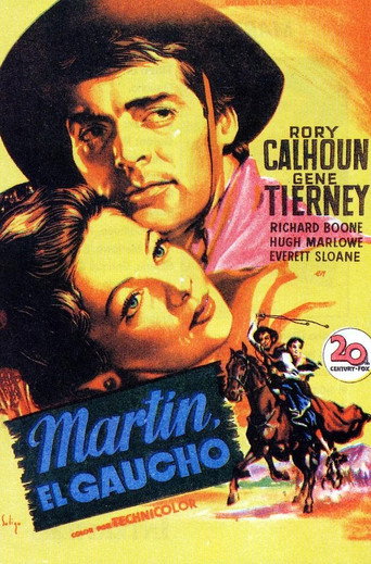 Póster de El camino del gaucho