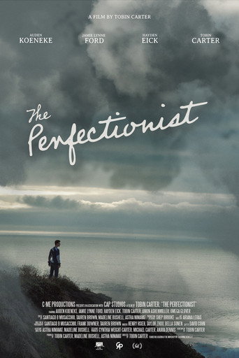 Póster de The Perfectionist