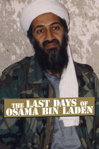 Póster de The Last Days of Osama Bin Laden