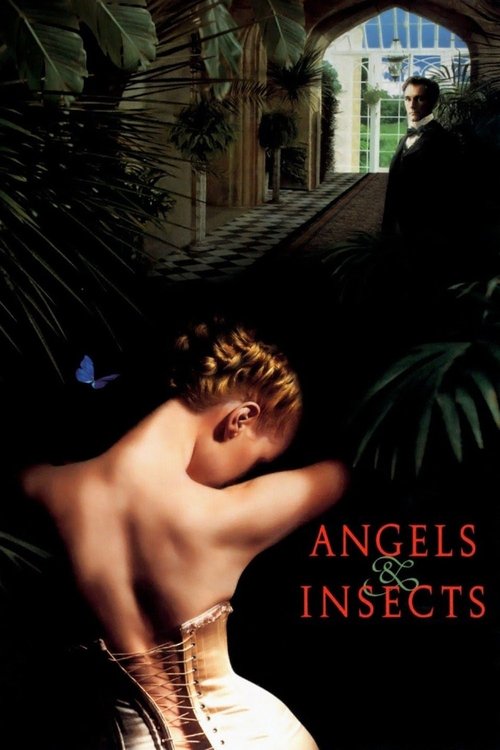 Póster de Angels and Insects