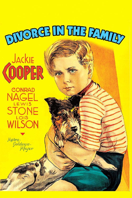 Póster de Divorce In The Family